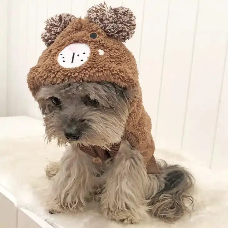 Bear Face Dog Hoodie
