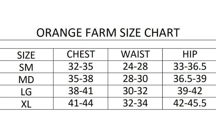 Swiss Dot Textured Smocked Top